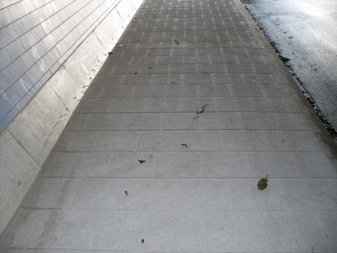 artcrete.nl